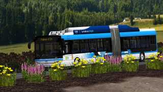  Solaris U18 III 3p